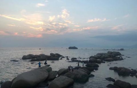旺财28股权激励：初创企业股权激励如何做？